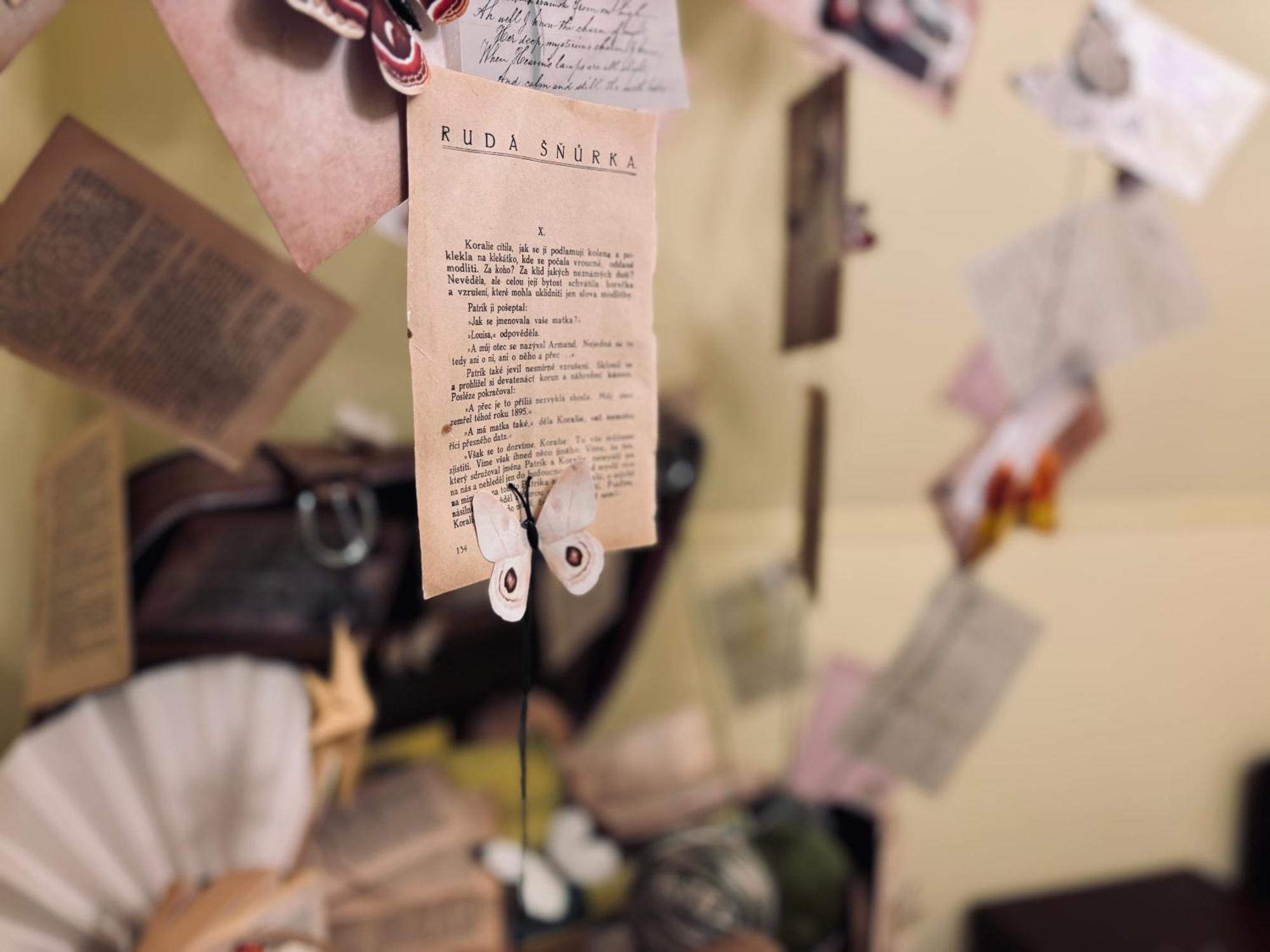 Poet'S Theme Room, Free Parking Karlovy Vary Ngoại thất bức ảnh